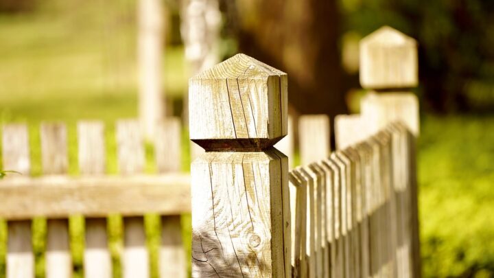 Der richtige Zaun für den Garten – eine Wissenschaft für sich, oder etwa doch nicht?