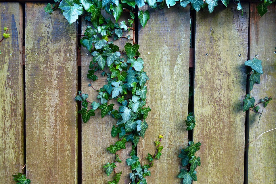 Guter Schutz für den Garten – Zäune bieten Sicherheit für Familie und Haustiere zugleich