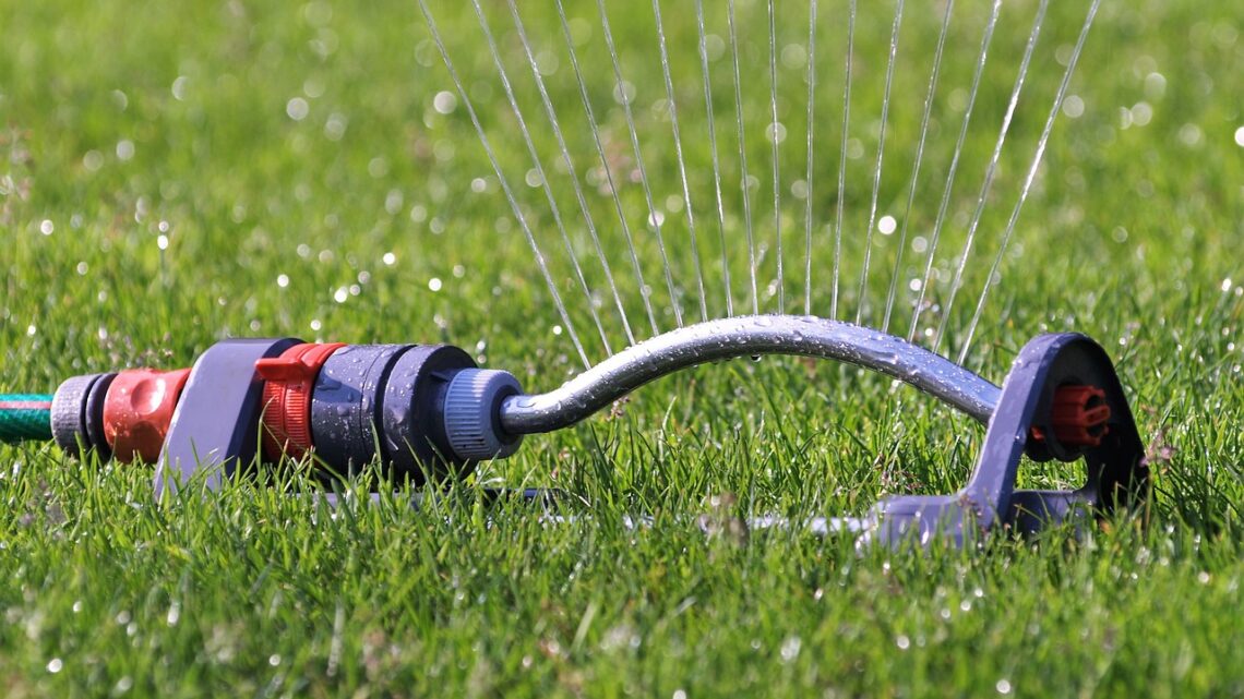 So bereiten Sie Ihren Garten optimal auf den Sommer vor